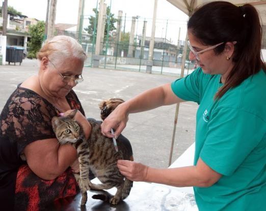 Campanha de Vacinação
