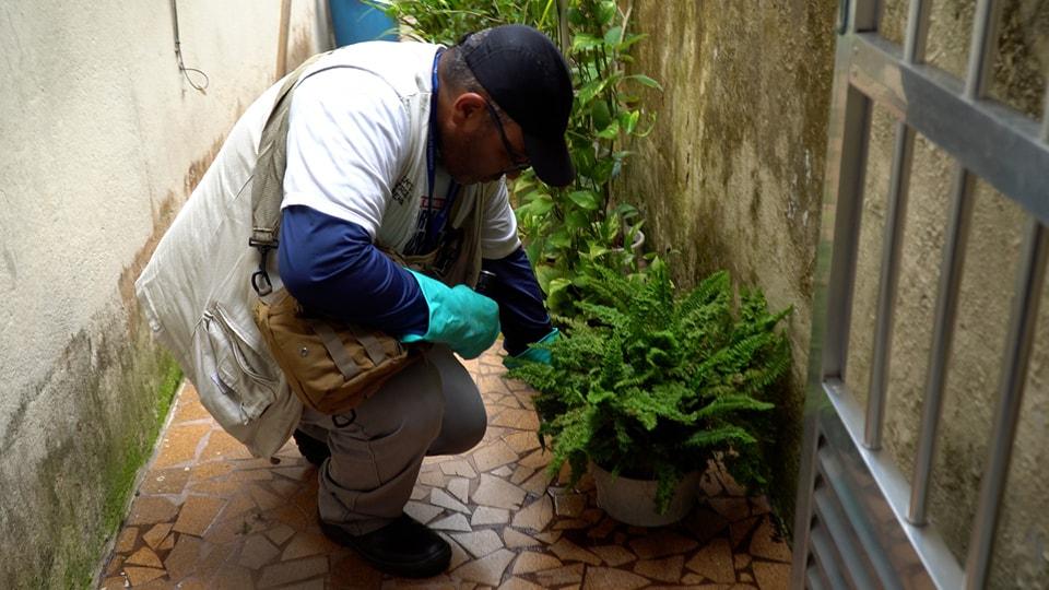 Ação contra a dengue em Guarujá abrange 6.140 imóveis a partir de terça-feira (08)