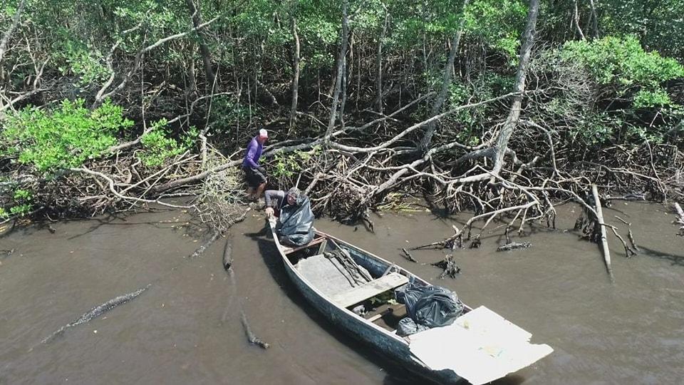 Programa remove 10 toneladas de resíduos dos manguezais do litoral paulista e beneficia pescadores