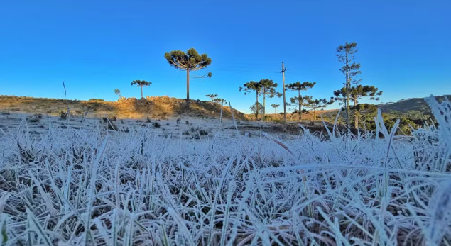 Saiba o que esperar do inverno de 2025, que já começou