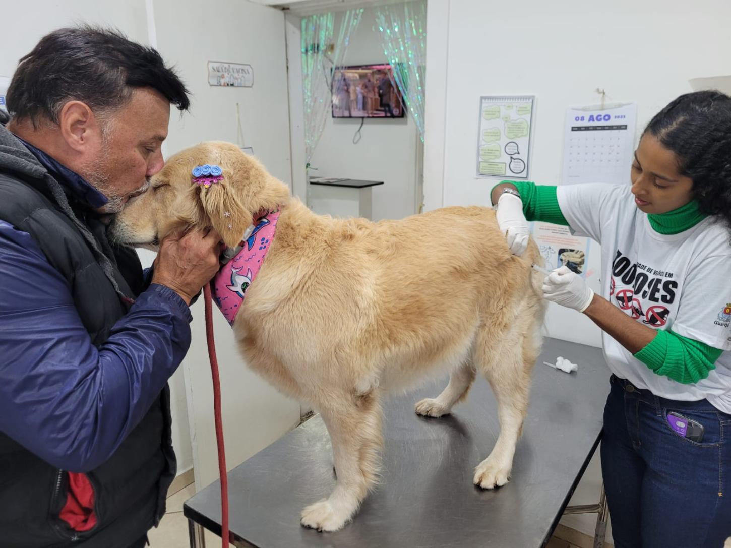 Guarujá superou já em agosto o número total de animais vacinados no ano passado contra a raiva