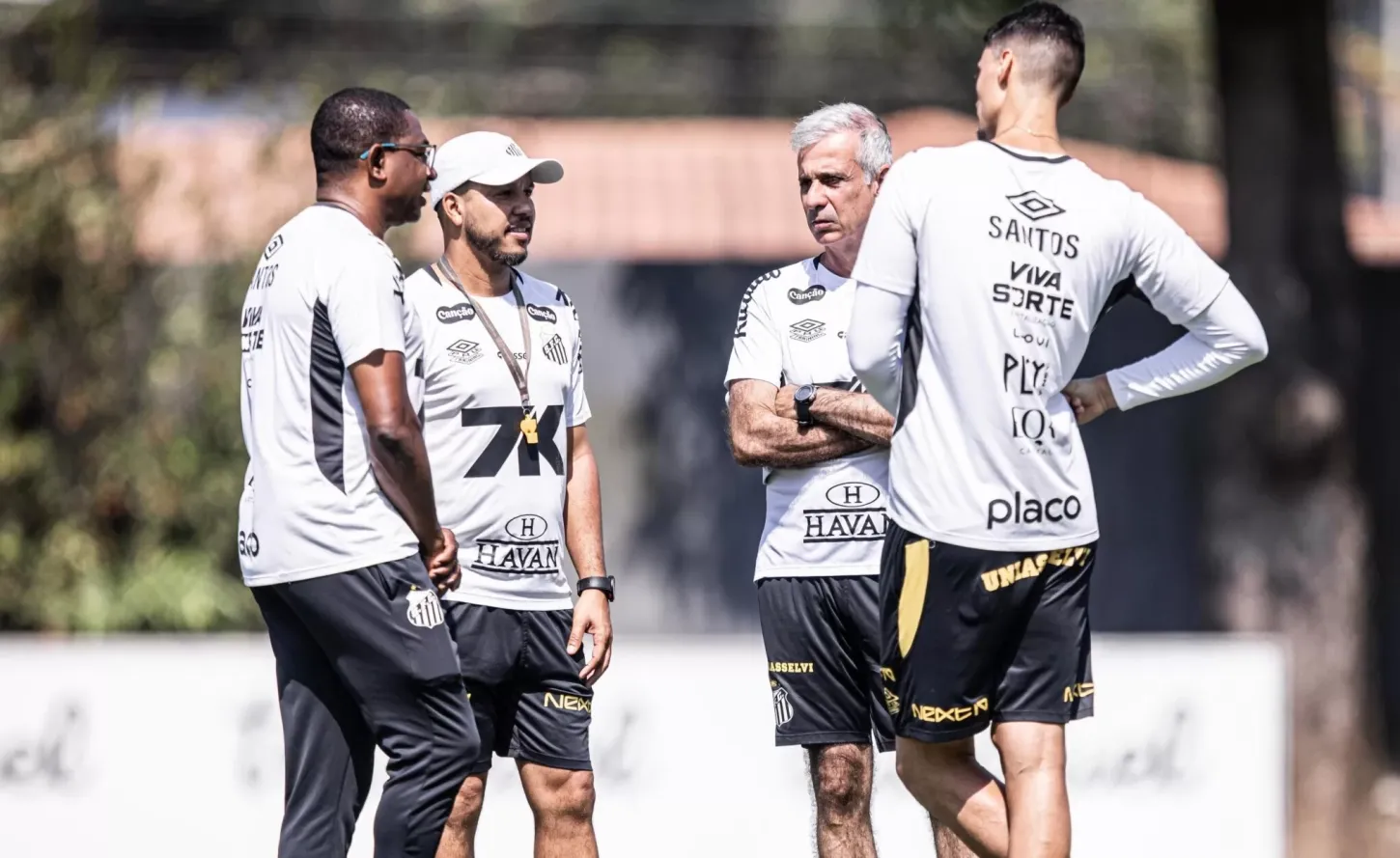 Matheus Bachi ganha cargo fixo e César Sampaio vira coordenador técnico; confira reestruturação