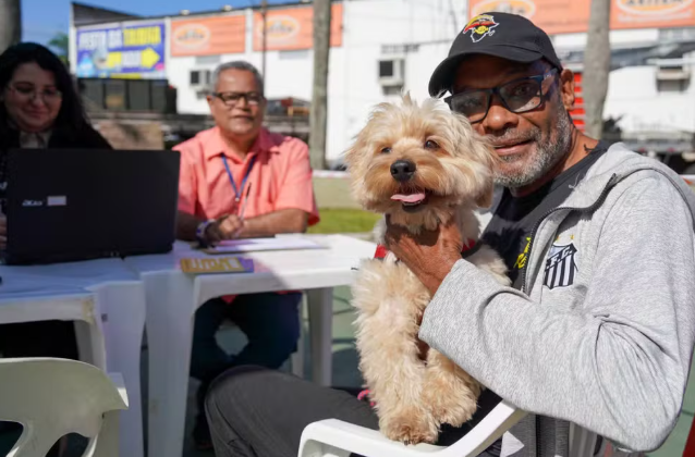 Praia Grande oferece microchipagem gratuita para cães e gatos; veja como participar