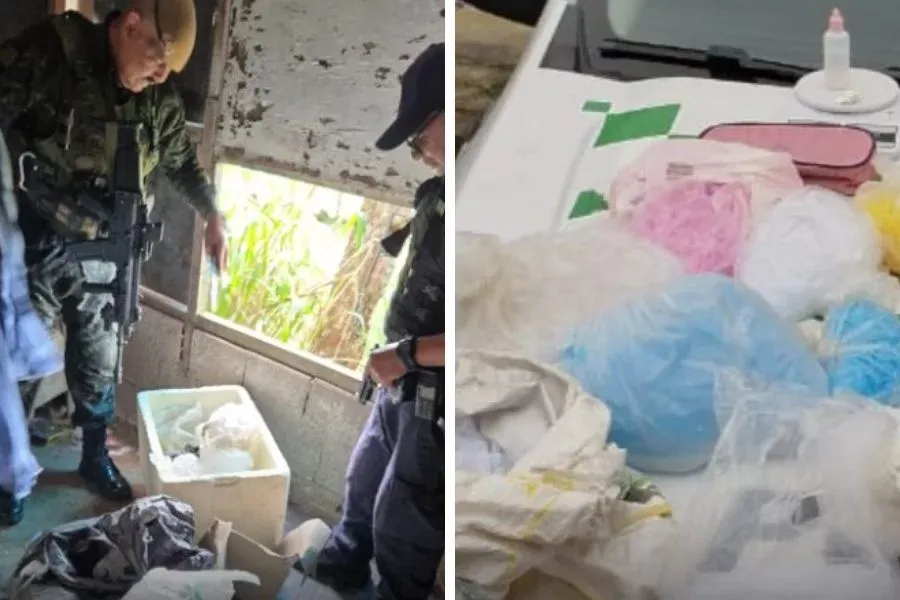 Polícia desmonta estrutura do tráfico em área de preservação no 'Vale da Morte', em Guarujá
