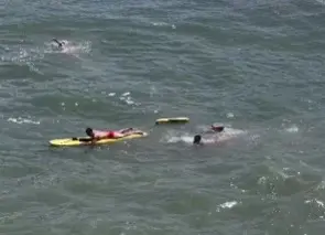 Guarda-vidas interrompem simulado para salvar banhista que se afogava em Santos