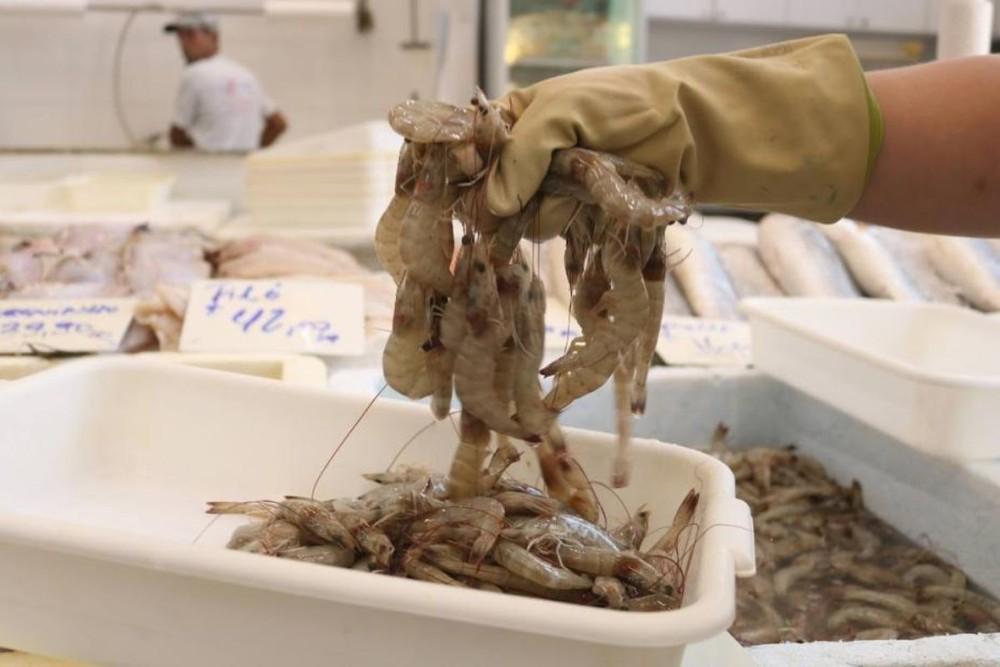 Mercado de Peixes de Santos realiza Festival do Camarão Cinza com descontos de 20%; confira