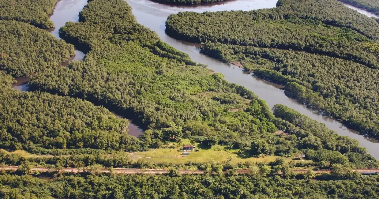 Porto de Santos abre mão de mais de R$ 40 mi em tarifas para incentivar navios e terminais verdes