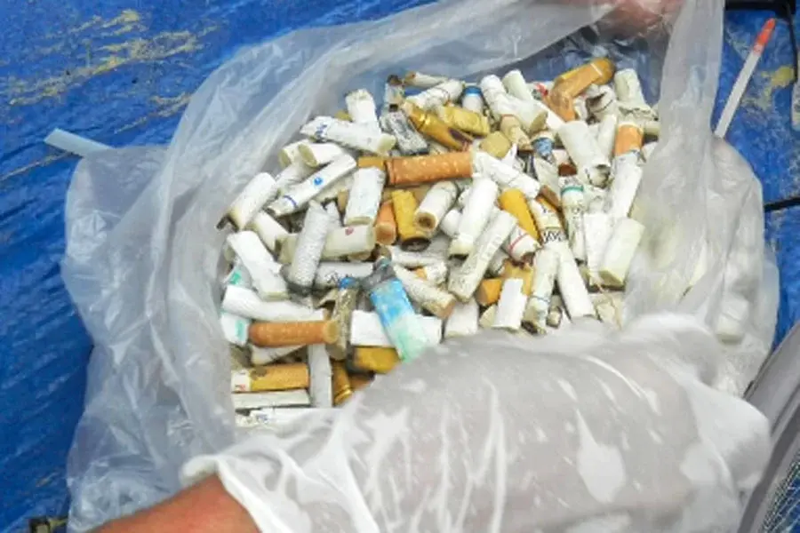 Monitoramento identifica mais de 18 mil fragmentos de microlixo em praia de Santos