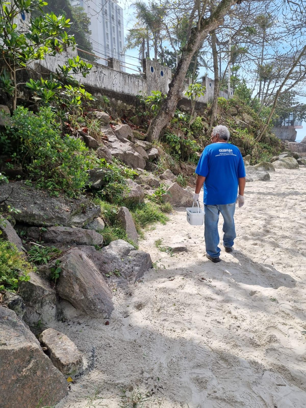 Zoonoses de Guarujá realiza desratização em praias e canais do Município
