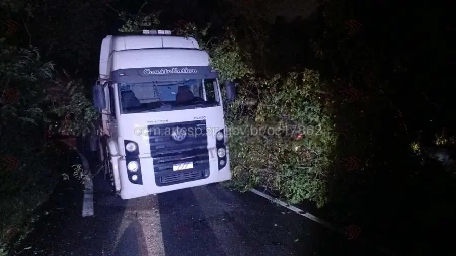 Árvore de grande porte cai sobre carreta na Rodovia Anchieta, em Cubatão