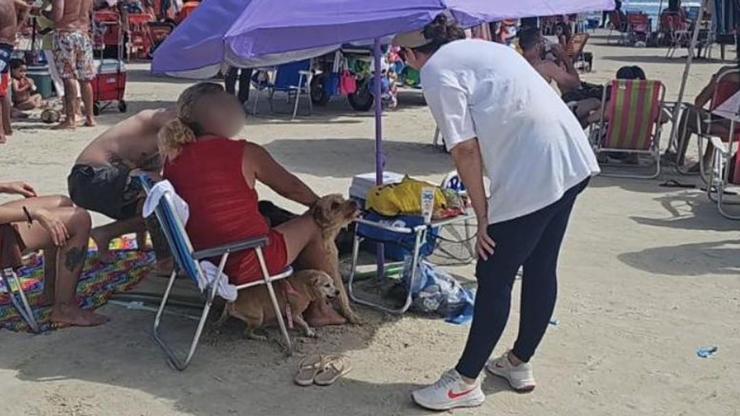 Caixas de som e animais na areia; veja quais são as principais irregularidades nas praias de Guarujá