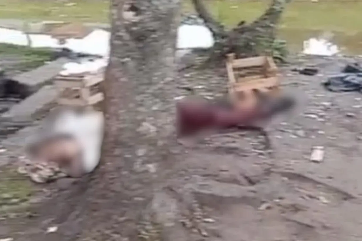 Idosa é encontrada morta em avenida de Praia Grande; Polícia Civil apura caso