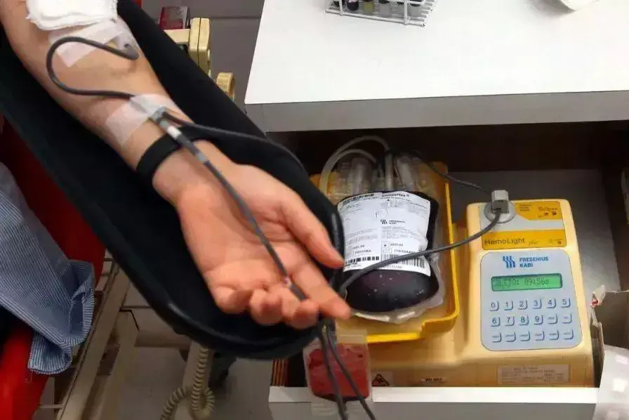 Justiça nega em Santos indenização a família de testemunha de Jeová que morreu após transfusão de sangue sem autorização