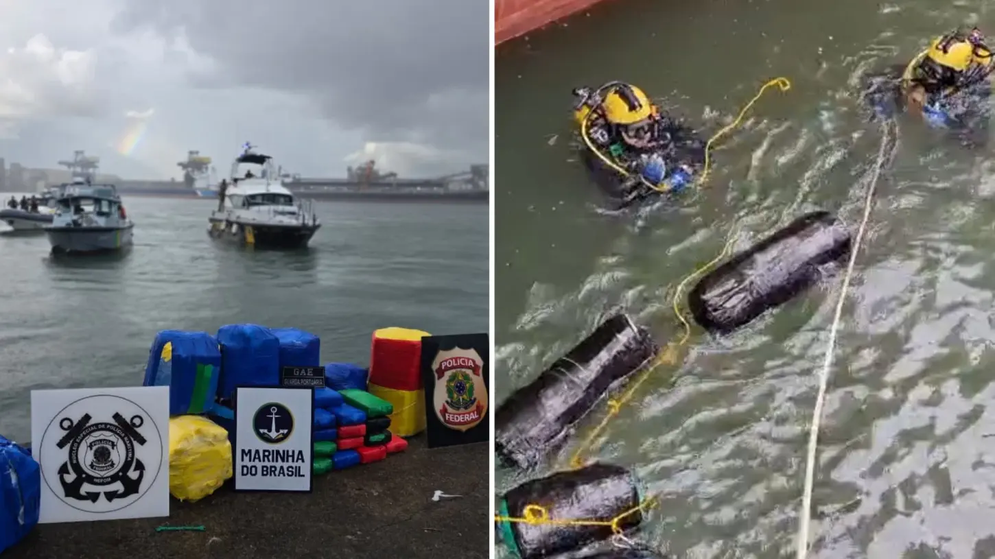 PF apreende cerca de 150 kg de cocaína em navio com destino à Holanda no Porto de Santos; VÍDEO