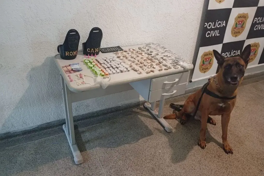 Cão farejador encontra drogas em ação na Vila Margarida, em São Vicente