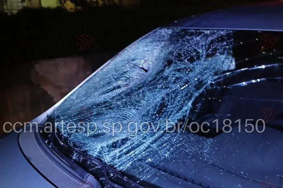 Pedestre morre após ser atropelado por diversos veículos na Rodovia Padre Manoel da Nóbrega