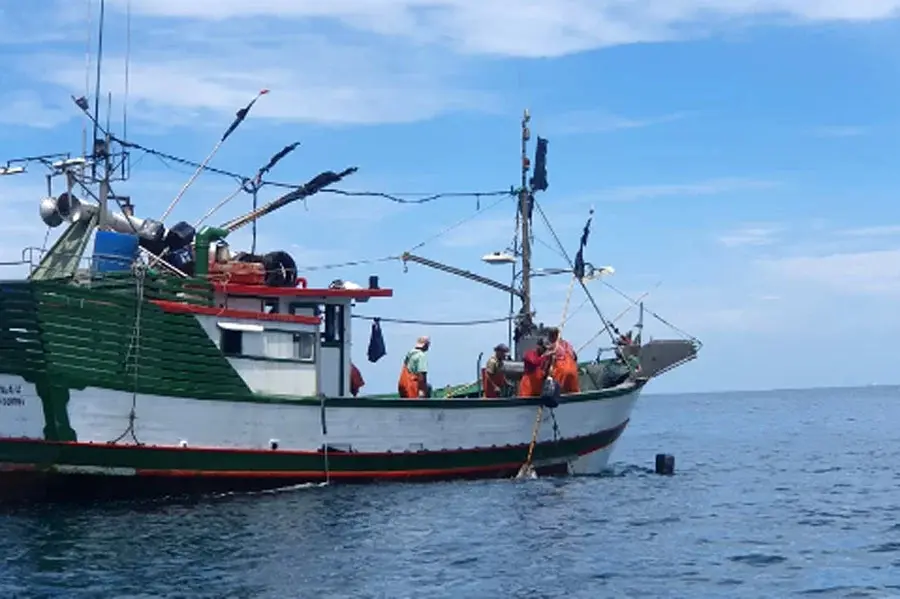 PM Ambiental apreende cerca de 3 toneladas de pescado em Praia Grande; multas ultrapassam R$ 700 mil