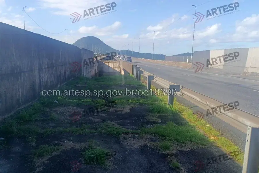 Corpo de mulher é encontrado com sinais de violência no canteiro central da Imigrantes