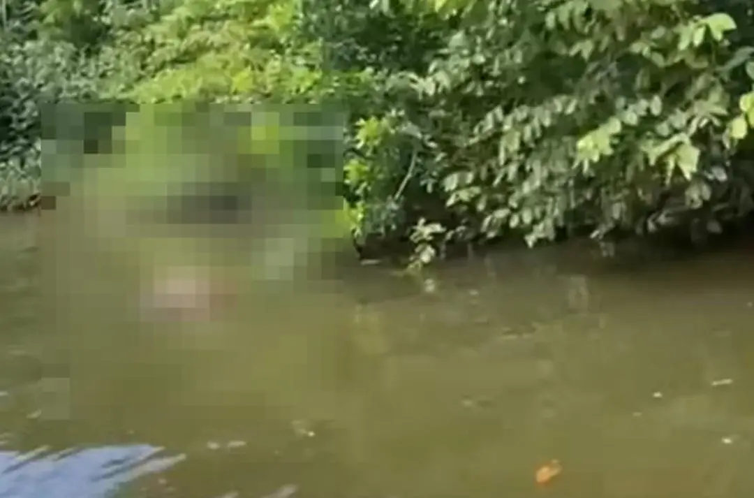 Homem é encontrado morto no Rio Peruíbe; caso é registrado como morte suspeita