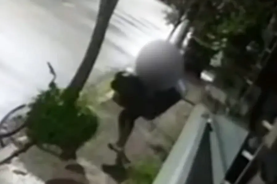 Homem é preso após furtar calhas de alumínio de uma casa na Vila Belmiro, em Santos; VÍDEO