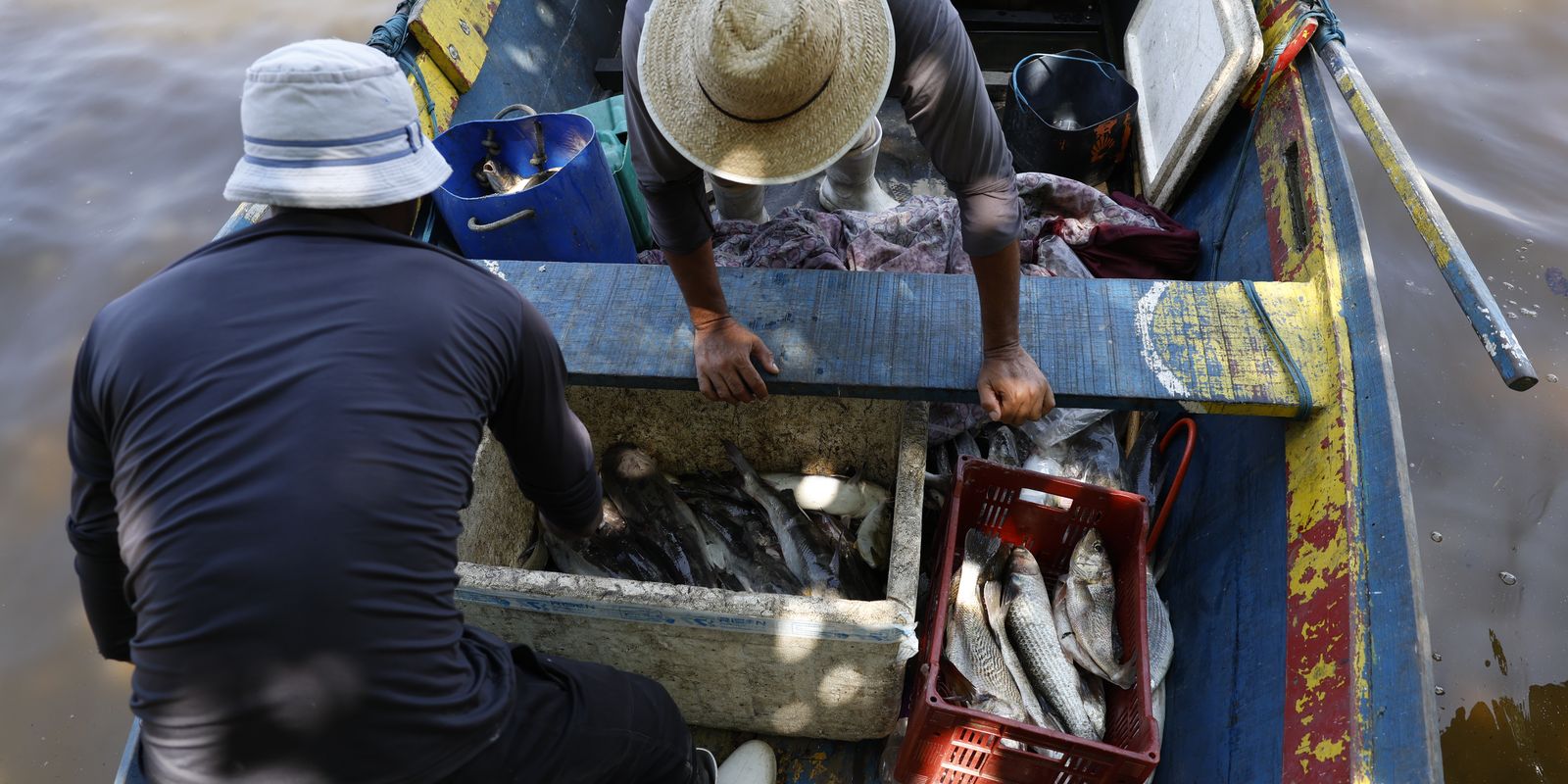 Sexto lote do seguro-defeso é liberado para pescadores nesta terça-feira