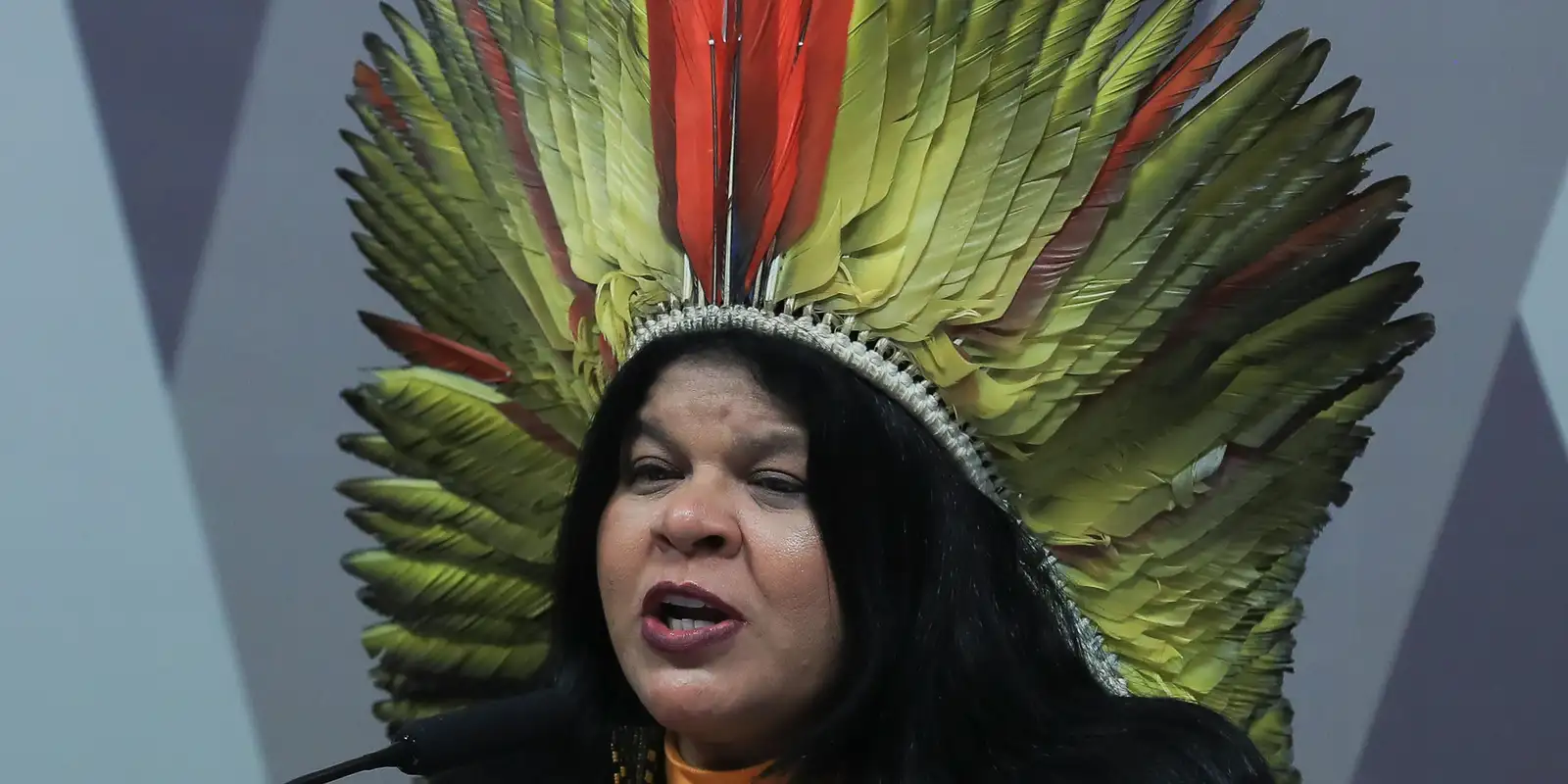 Sônia Guajajara apresenta melhora, mas segue internada em São Paulo