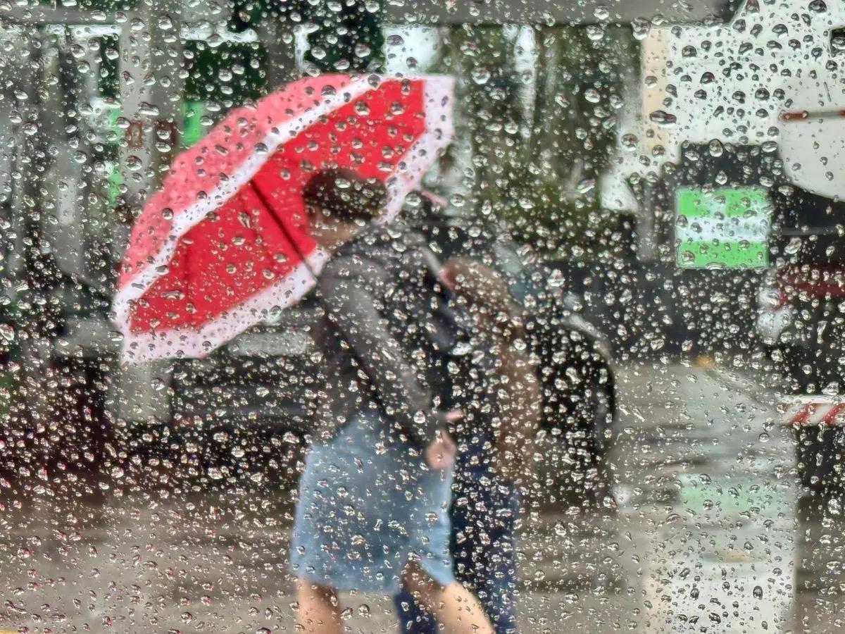 Temporal atinge o litoral de São Paulo com 100mm de chuva, raios e ventos intensos de 100 km/h