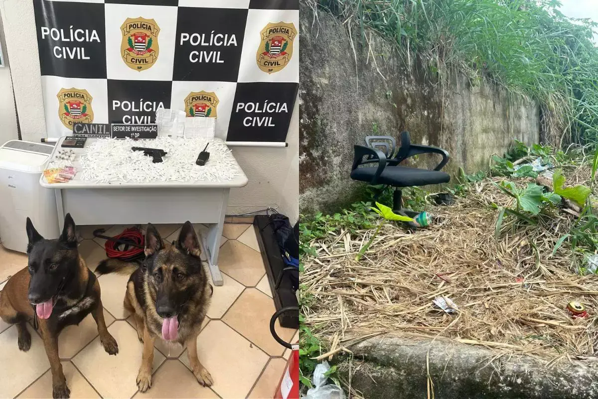 Homem é preso em Santos após vigiar movimentação policial em área com 'casa bomba'