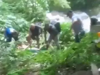 Mulher ferida após queda de motocicleta em ribanceira morre no hospital em Bertioga