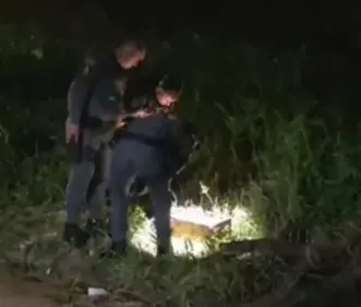 Ossada de bebê é encontrada dentro de caixa no meio de matagal em Itanhaém