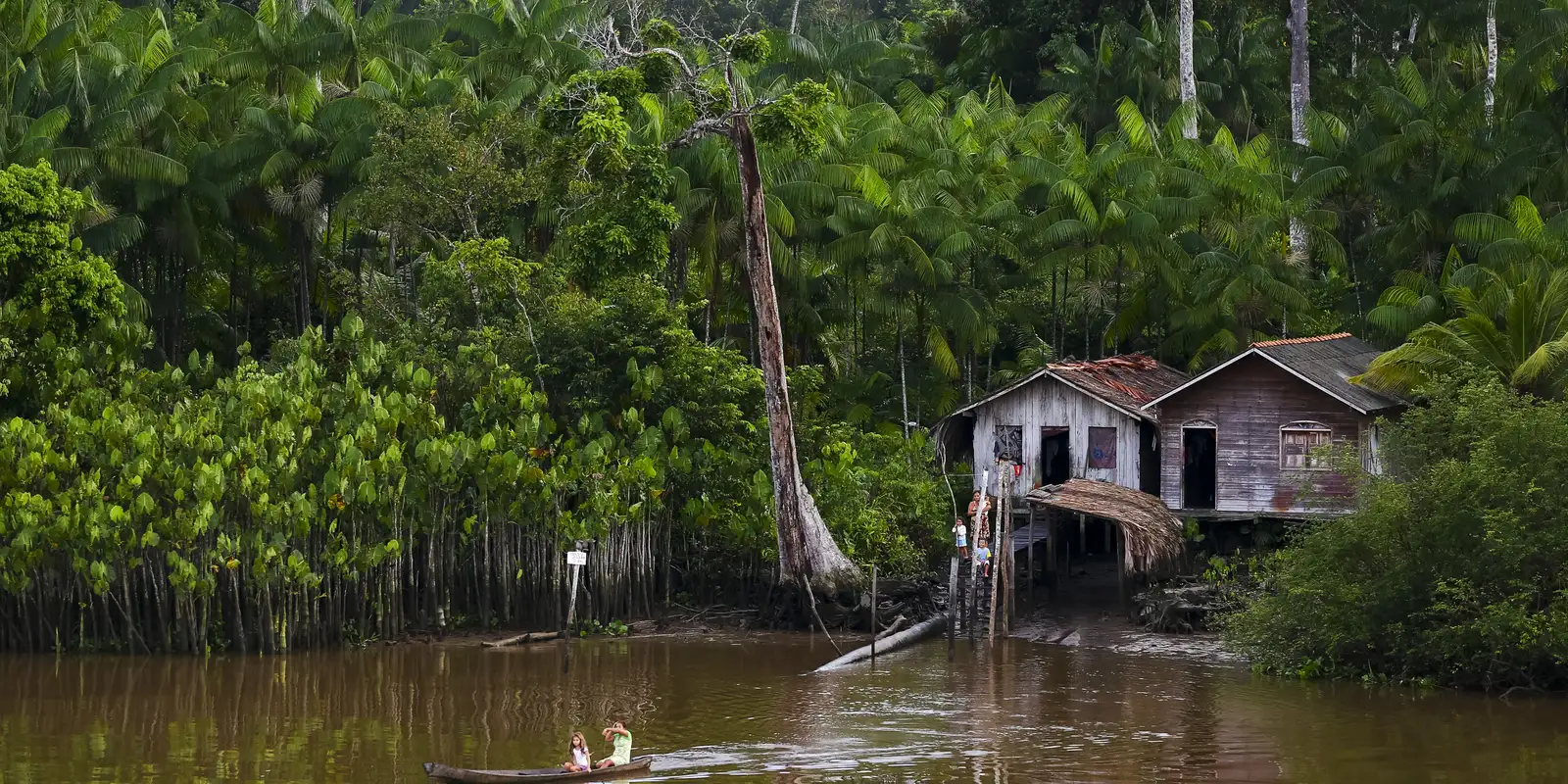 Projeto oferece tratamento gratuito para doença de Jorge Lobo e transforma vidas na Amazônia