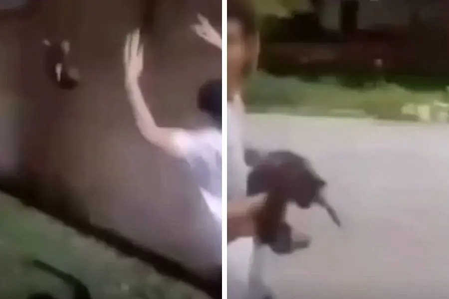 Adolescente arremessa gato comunitário em canal de Praia Grande; VÍDEO