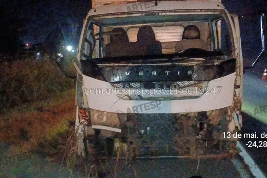 Cavalos são atropelados por carretas em rodovia de Peruíbe