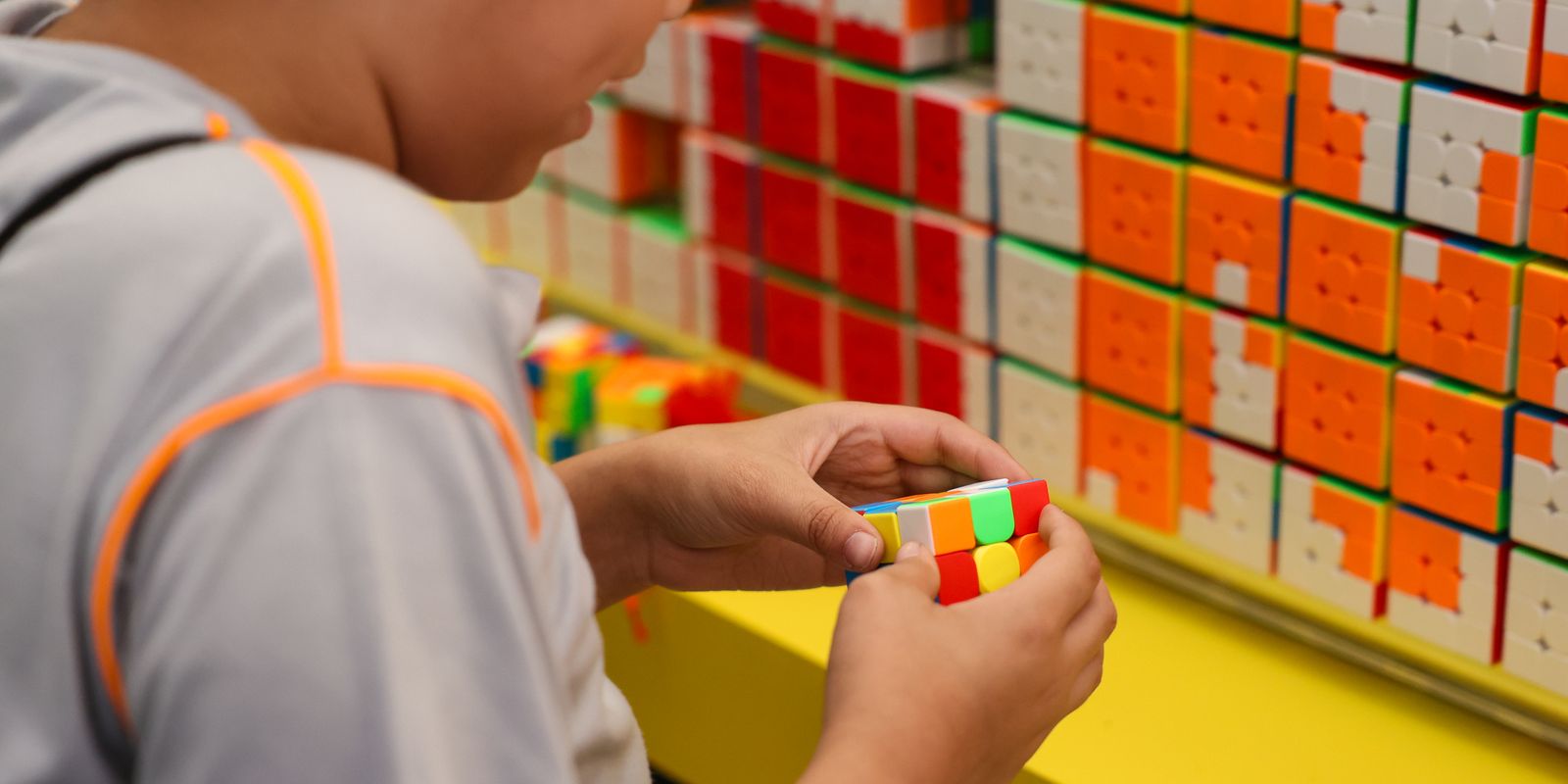 A primeira etapa do Censo da Educação Básica 2026 é iniciada em todo o país