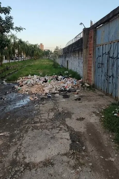 Empresa será multada em quase R$ 22 mil após descarte irregular em São Vicente