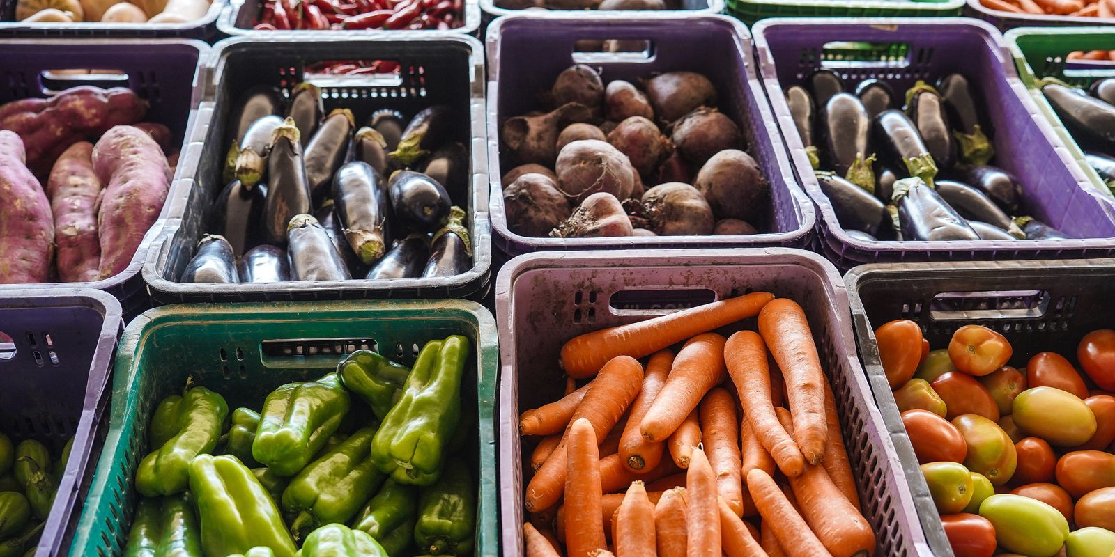 Inca lança campanha para fortalecer apoio nutricional a pacientes oncológicos