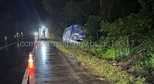 Ônibus sai da pista e vai parar no meio de vegetação em Santos