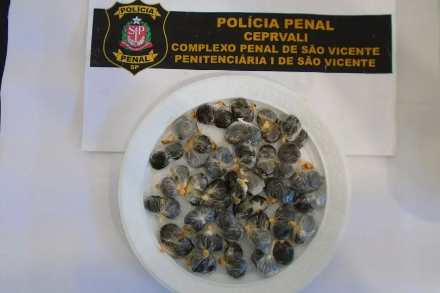 Companheira de detento tenta levar maconha escondida em pedaços de carne para dentro de presídio em São Vicente