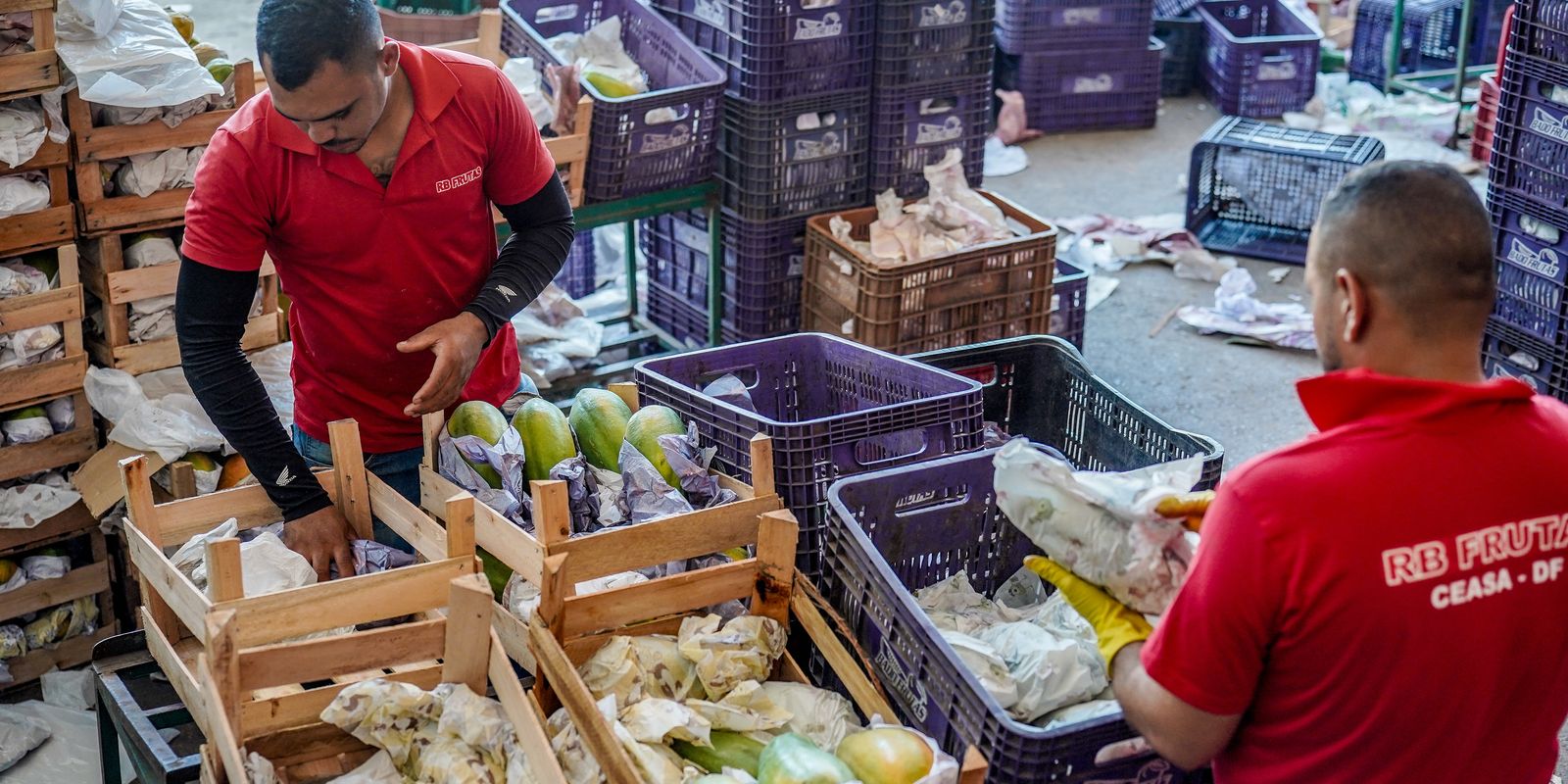 Governo federal destina R$ 97,3 bilhões em crédito para a agricultura familiar no novo Plano Safra