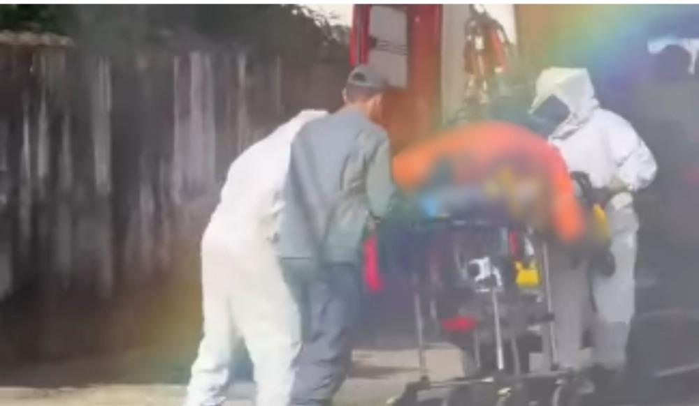 Homem morre após ser picado por enxame de abelhas em Guarujá; VÍDEO
