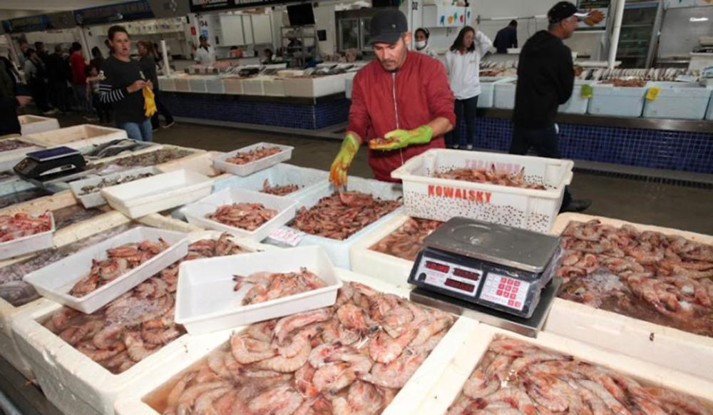 Festival da Tainha e Camarão oferece pescados com preços especiais em Santos