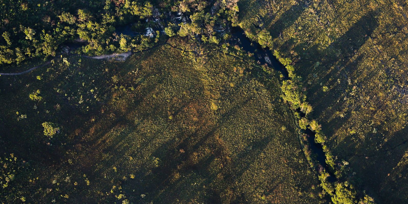 Fundos Constitucionais oferecem juros mais baixos para projetos rurais sustentáveis