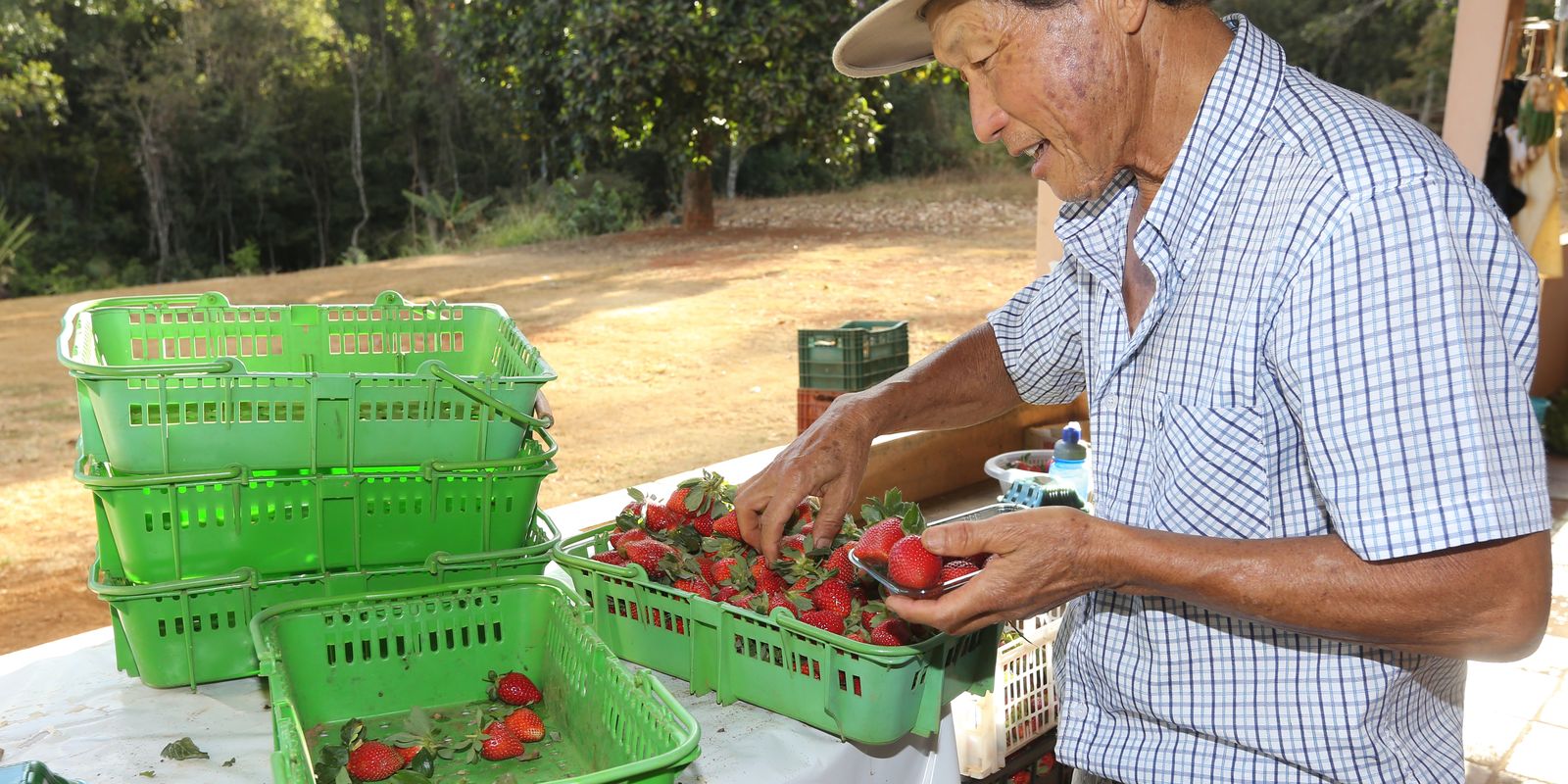 Finep destina R$ 220 milhões para impulsionar a inovação na agricultura familiar