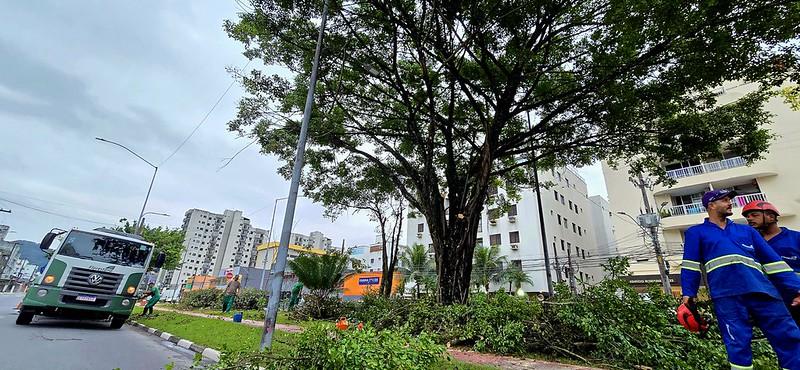 Prefeitura realiza poda ecológica na Av. Leomil a partir desta terça-feira (28)