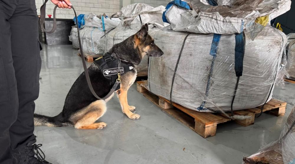 Receita Federal intercepta mais de 400 kg de cocaína em duas apreensões no Porto de Santos