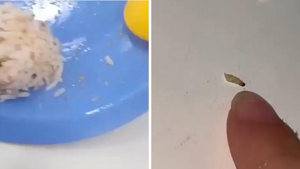 Alunos encontram larvas em merenda de escola estadual em Guarujá; VÍDEO
