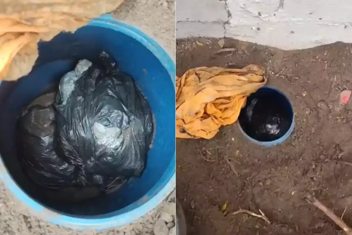 Tonel enterrado no quintal de casa revela esquema criminoso no litoral de São Paulo; entenda
