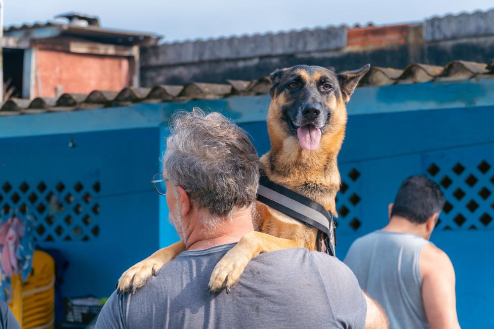 Bertioga promove mutirão de castração e microchipagem para cães e gatos