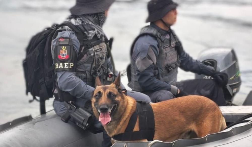 Cães farejadores encontram mais de 20 kg de drogas em Cubatão