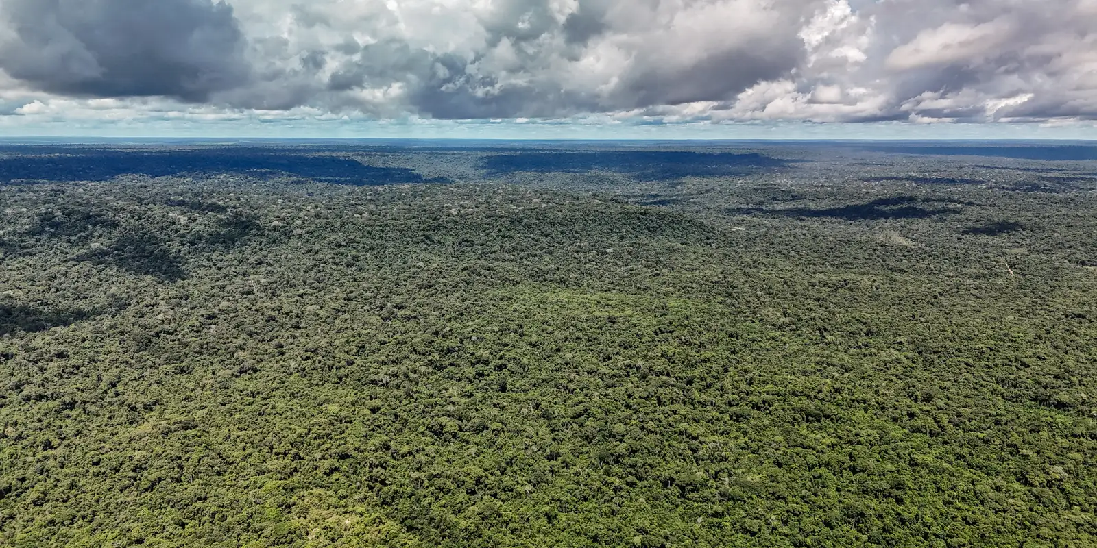 Ministério da Fazenda autoriza crédito de US$ 1 bilhão do BID para o Eco Invest Brasil